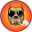 3bet Icon