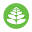 Nezzanaturals Icon