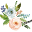 Shabbyroses Icon