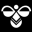 Hostingpari Icon