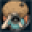 Fro Knows Photo Icon
