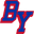 Iamblueyork Icon