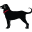 The Black Dog Icon