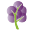 Grapetree Icon
