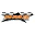 Dirtcarusa Icon