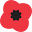 Poppysocks Icon