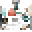 Newfoundlust Icon