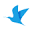 Traveloka Icon
