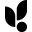 Vaja Cases Icon
