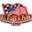 A1flagsnpoles Icon