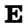 Estella Icon