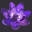Lotusasiacasino Icon