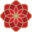 Wellnessonwhyte Icon