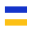 Visa Checkout Icon