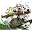Bamboo-Baby.com Icon