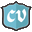 Thechinavillage Icon