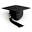 Go-llm Icon