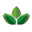 Buyorganicsonline Icon
