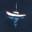 Paintedboat Icon