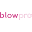 BlowPro® Icon
