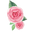 Cocorose Icon