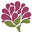 The Nova Studio Icon