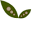 Thelittleseedling Icon