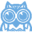 Domaincouponspro Icon
