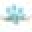 Loyalpaws Icon