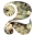 2dollarbillmovie Icon