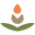Restorative Botanicals Icon