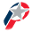 Teamip Icon