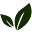 Teaemporium Icon