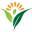 Innerzyme Icon
