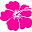 Myfuschia Icon