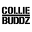 Colliebuddz Icon