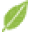 Complexionbydesign Icon