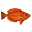 Kaiilikaulukukui Icon
