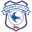 Cardiffcityfcfoundation Icon