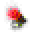 Tacklebargains Icon