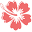 Hawaiian Tropic Icon