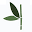 Shedo Lane Icon