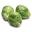 Getbetterwellness Icon