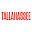 Tallahasseemagazine Icon