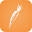 Foodtruthonline Icon