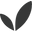 Boodywear Icon
