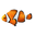 Coralpassion Icon