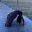 Eatdrinkyoga Icon