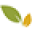 Natureherbal Icon