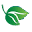 LifeSource Vitamins Icon